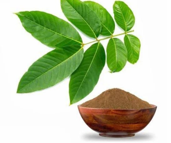 Banaba Leaf
