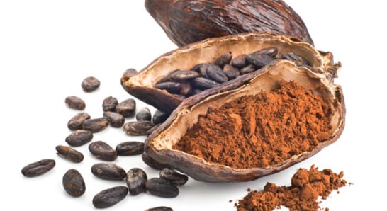 Cocoa Bean Extract